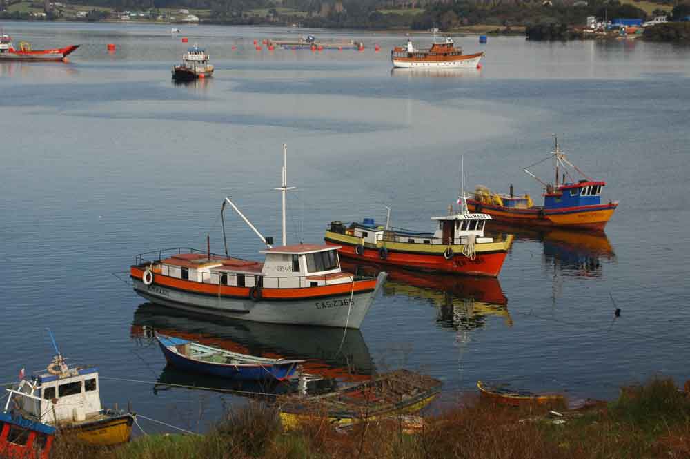 59 - Chile - isla de Chiloe, Dalcahue, puerto